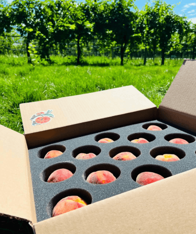 Peach box